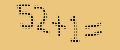 protect code