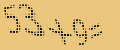 protect code