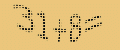 protect code