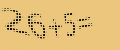protect code