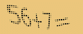 protect code